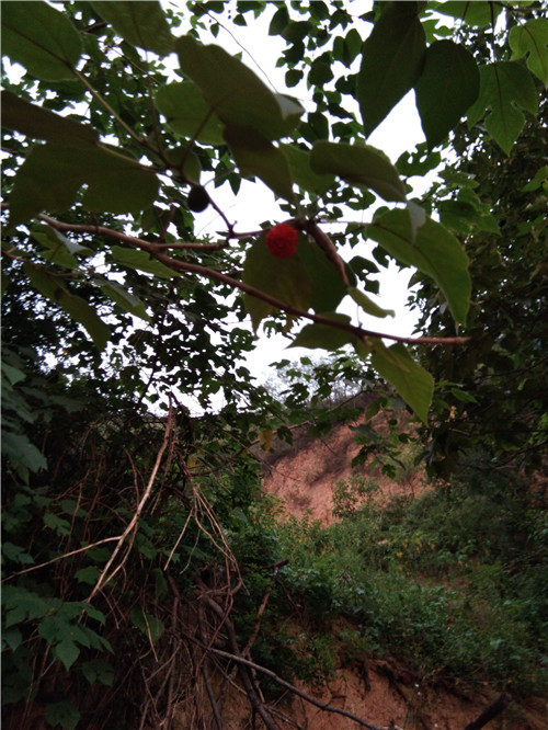 1647962663.jpg 1647962663.jpg